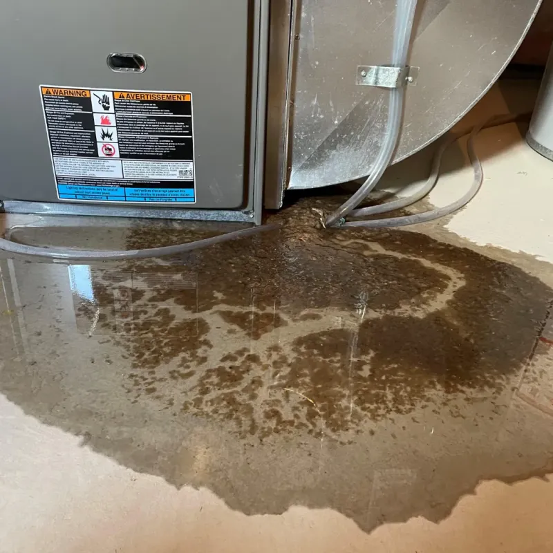 Appliance Leak Cleanup in Grady County, OK